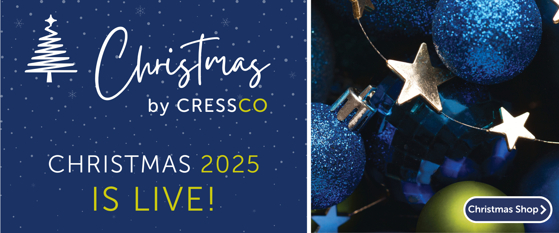 Christmas 25 banner