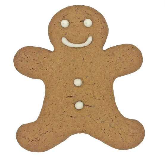 Original Biscuit Bakers - Gingerbread Jack (20 x 25g) 