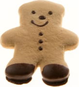 Burts Bakery Gingerbread Ted
