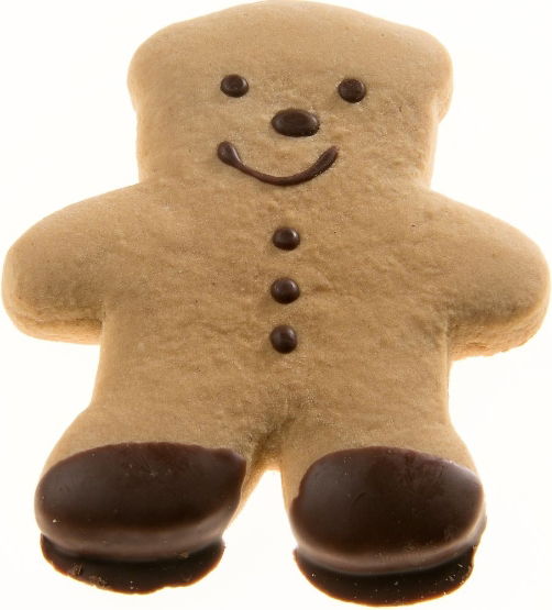 Burts Bakery Gingerbread Ted
